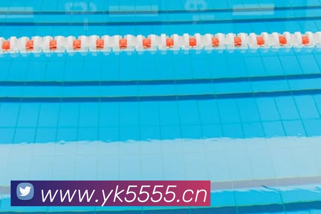 半岛官网在线登录APP 封面图